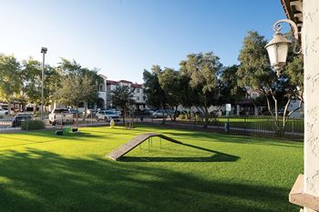Dog park with dog salon